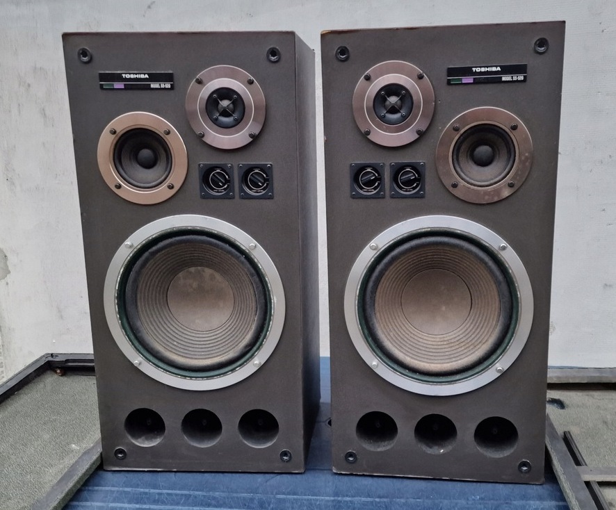 KOLUMNY-TOSHIBA-SS-520-AUREX-uszkodzone-EAN-GTIN-009877653272.jpeg KOLUMNY-TOSHIBA-SS-520-AUREX-uszkodzone-EAN-GTIN-009877653272.jpeg