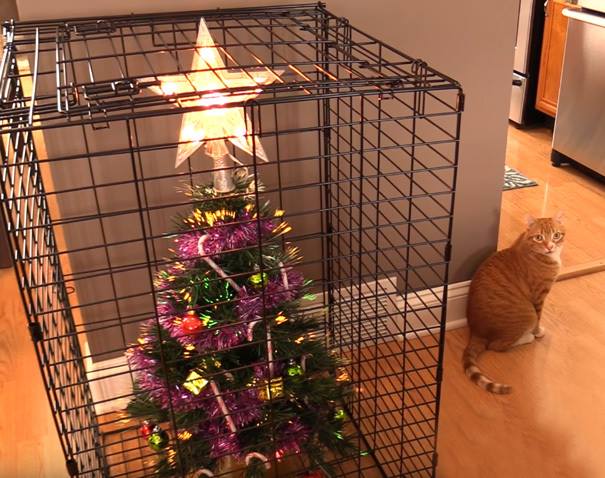 post_2016-12-24.jpeg post_2016-12-24.jpeg